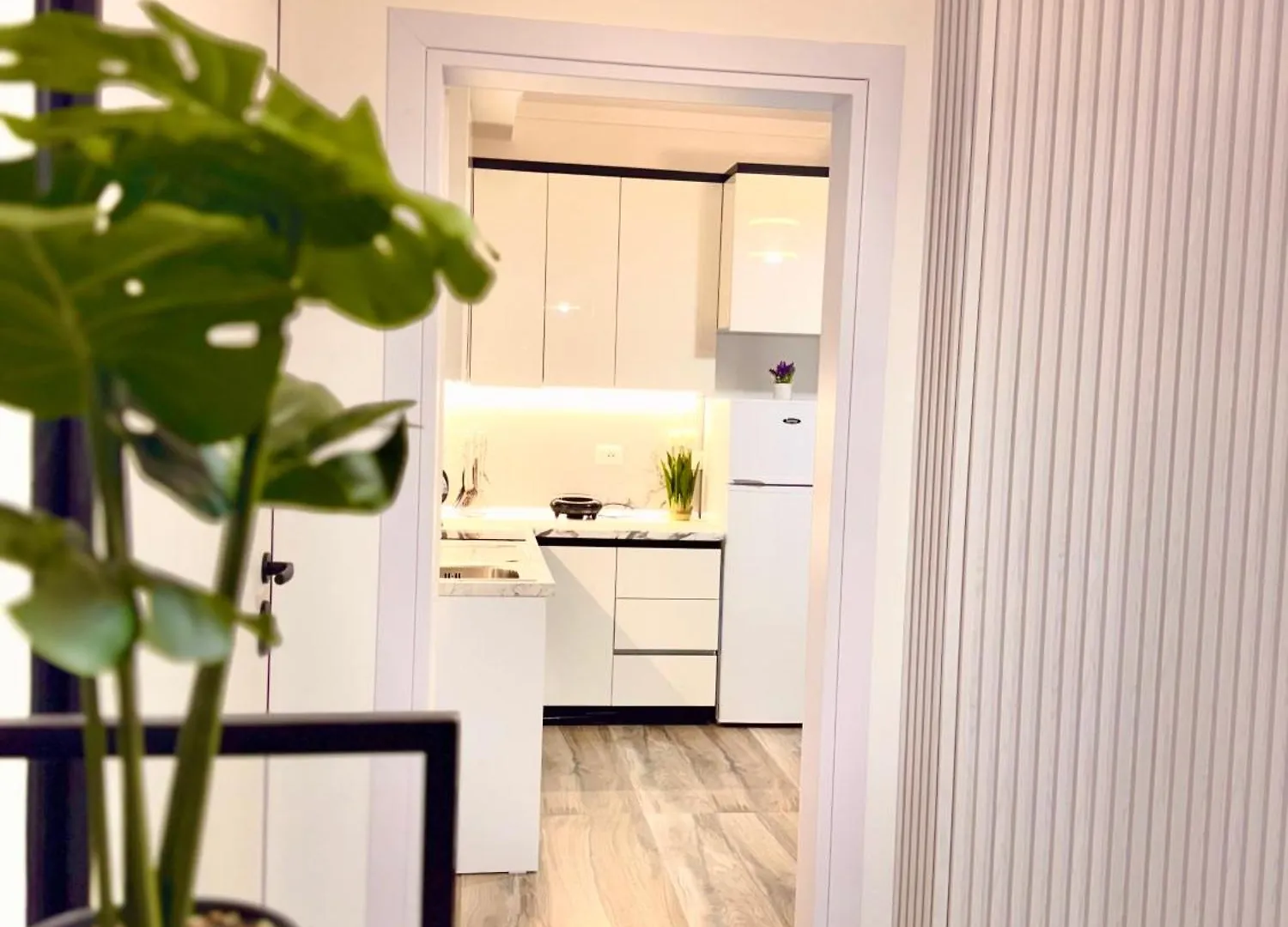 Elite Apartments Durres 0*,